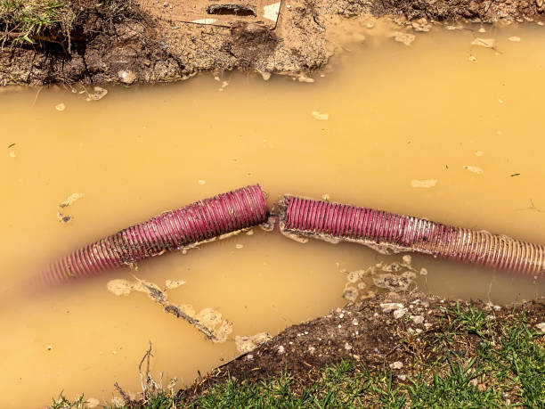 Best Mold removal after water damage  in Heavener, OK