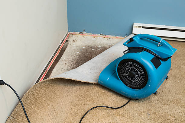 Best Fire Damage Restoration  in Heavener, OK